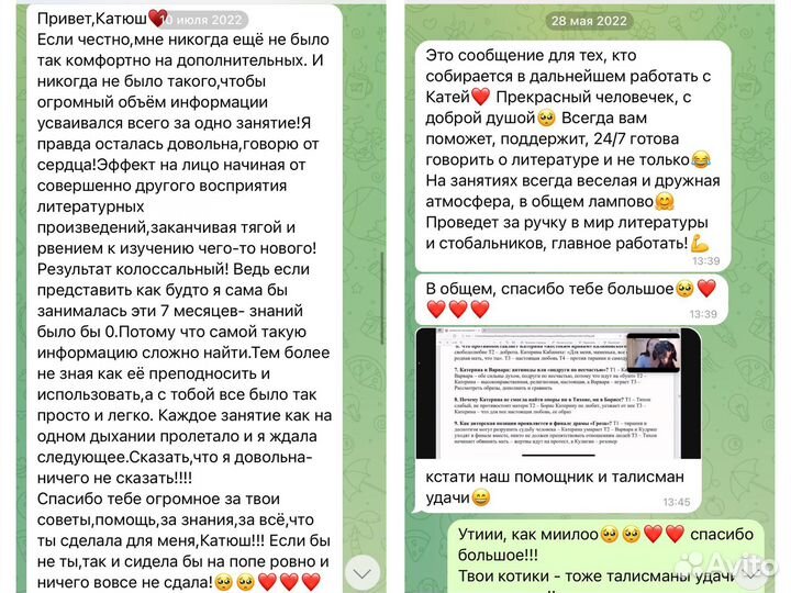 Репетитор по литературе егэ и огэ