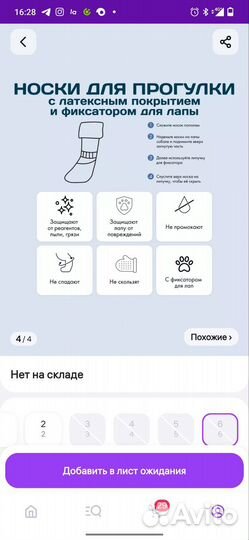 Носки, обувь для собаки