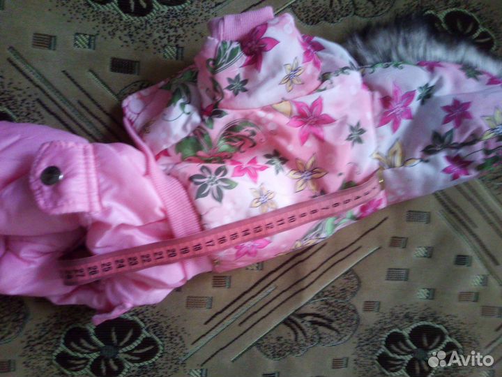 Одежда для собак