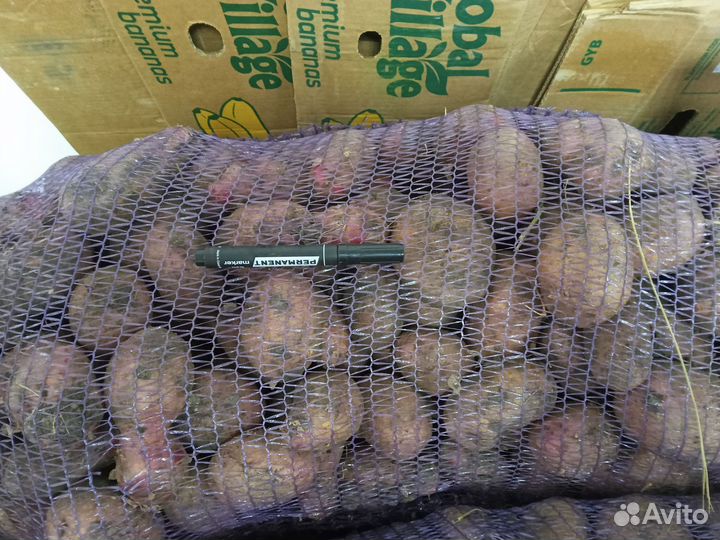 Овощи фрукты оптом и в розницу / картошка / лук