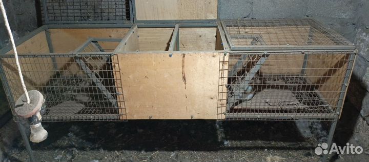 Клетка с маточником для кроликов