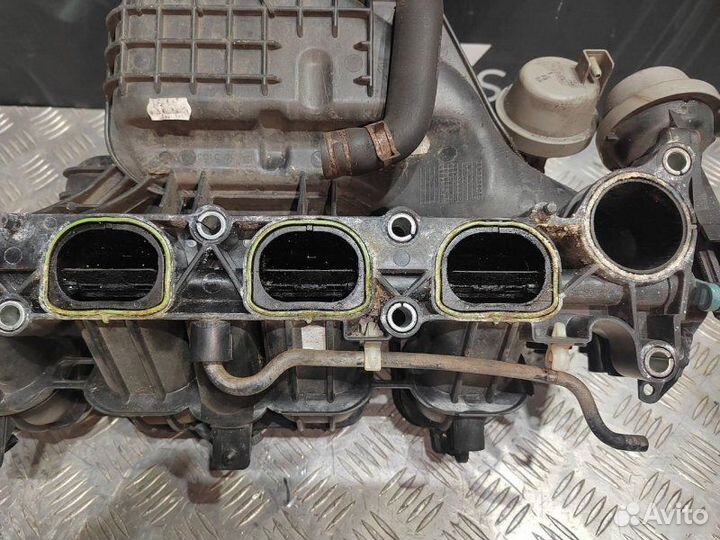 Впускной коллектор Ford Focus 2 qqdb