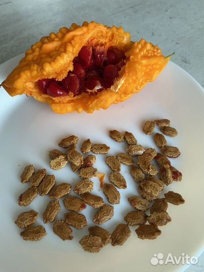 Момордика семена