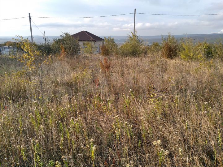 Участок 6 сот. (ИЖС)