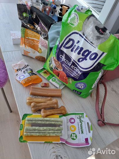 Сухой корм для собак средних пород