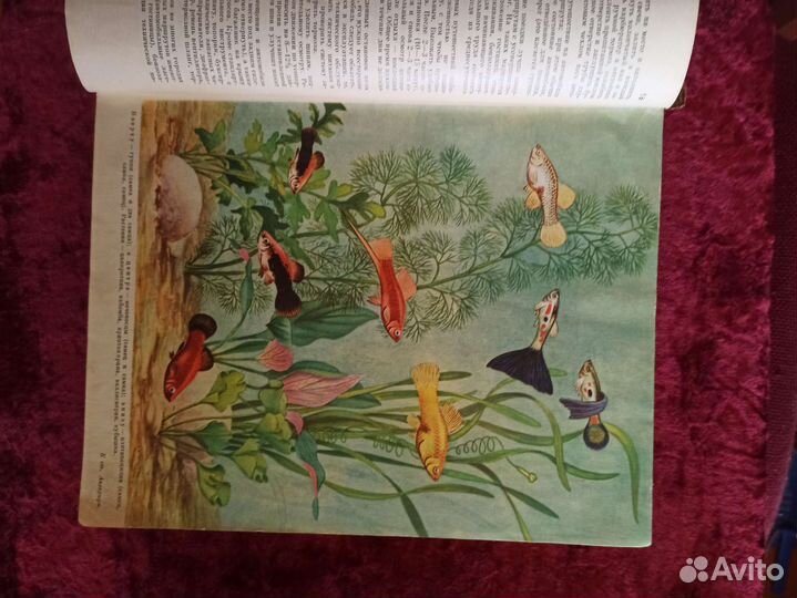 Энциклопедия домашнего хозяйства