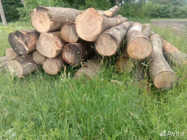 Лес кругляк пиловочник