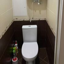 1-к. квартира, 43,1 м², 3 кровати, Бобруйск