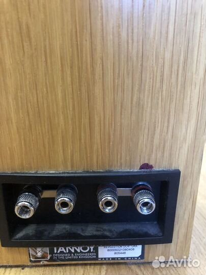 Колонки Напольные Tannoy Revolution DC 4T