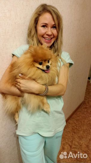 Выгул собак/ зоо няня