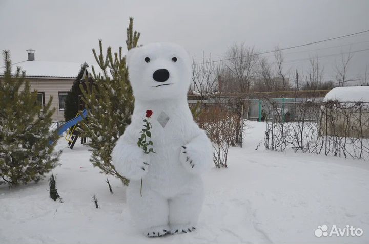 Поздравление от белого Мишки Снежка, Панды Уголька