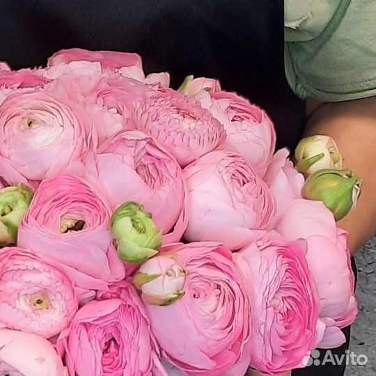 Ранункулюсы