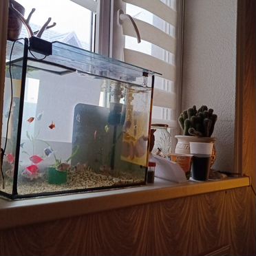 Аквариум 200 литров 100л