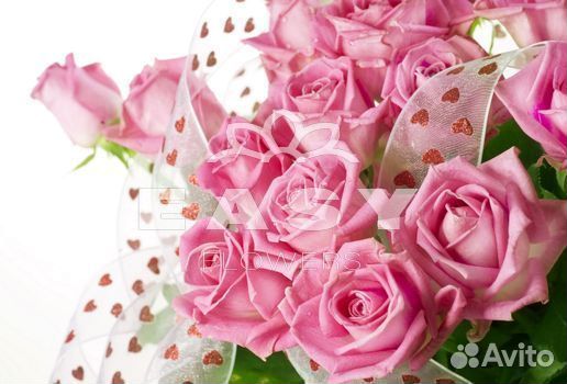 101 роза цветы букеты доставка 25 51 101 роза