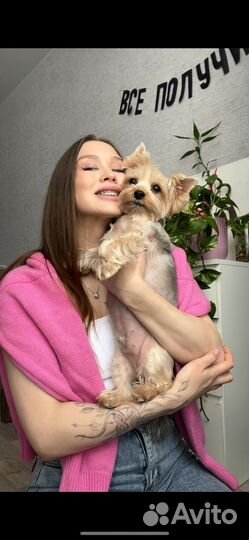 Свитер-поло aim clo розовый