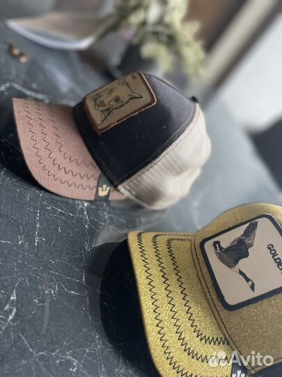 Кепка goorin brothers Cougar и Golden