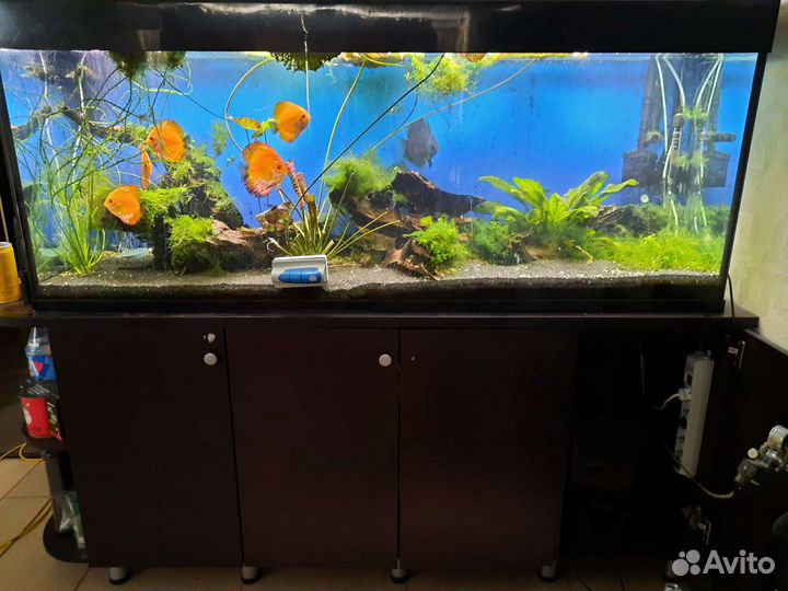 Аквариум с тумбой 450л