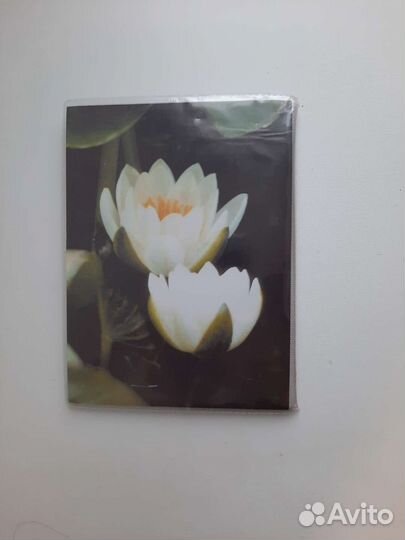 Фотоальбом