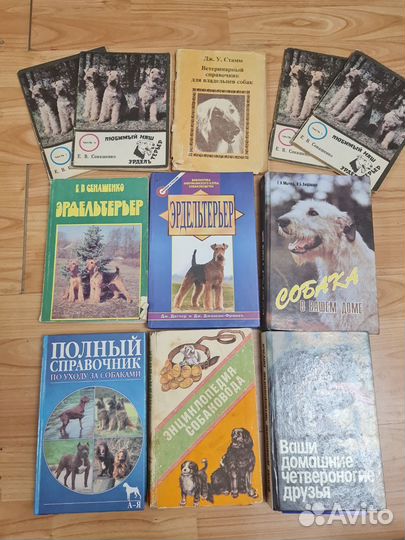 Собака в вашем доме,Собаководство, эрдельтерьер