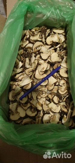 Сухой белый гриб