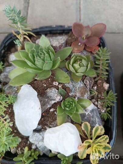 Альпийская горка