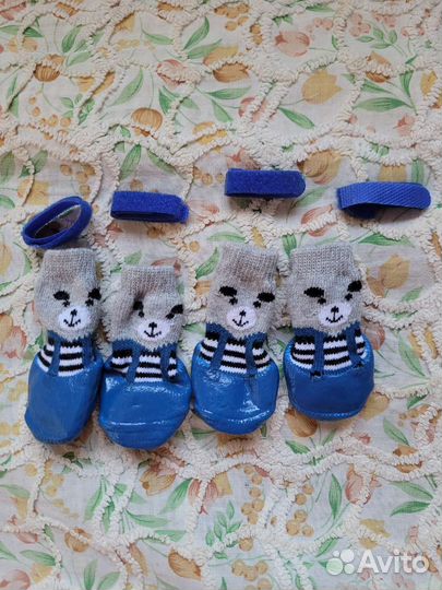 Носки для маленьких собачек