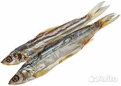 Рыба Ряпушка вяленая