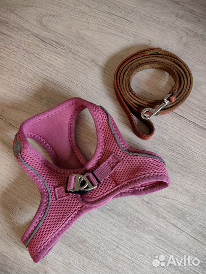 Шлейка и поводок