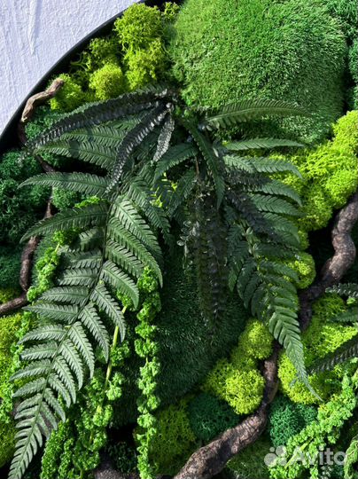 Панно 50 см из стабилизированного мха