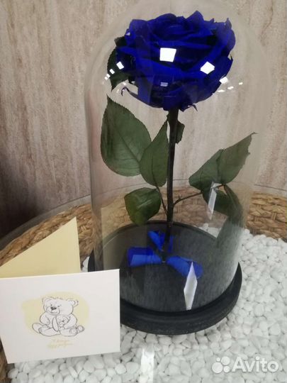 Розы в колбе, цветы в вакууме,подарок к выпускному