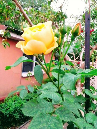 Дом 72 м² на участке 4 сот.