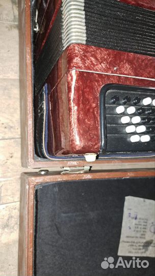 Баян Тула 202