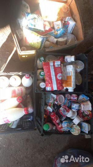 Корма для животных