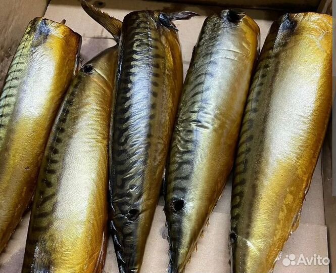 Рыба горячего и холодного копчения