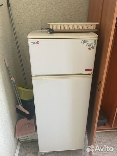 Холодильник атлант мхм-268-00