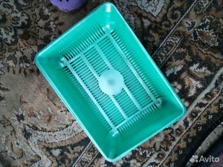 Лоток для кошки