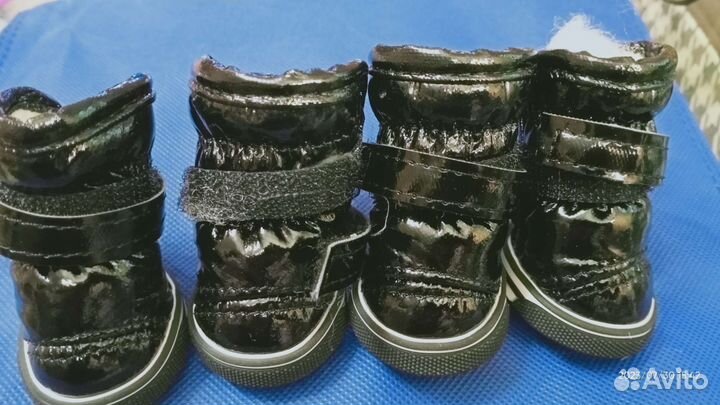 Ботинки для маленькой собаки