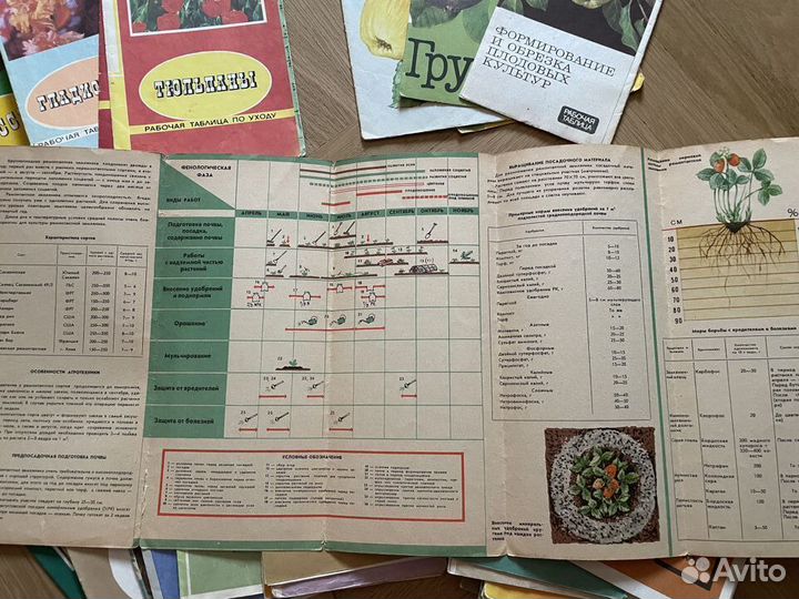 Садоводам огородникам журналы буклеты Рабочие табл