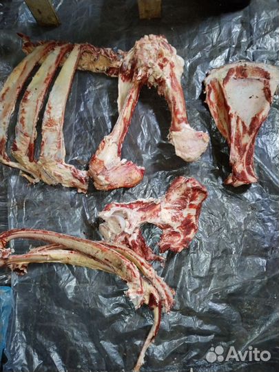 Мясо говядина для собак