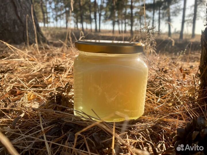 Мед с личной пасеки