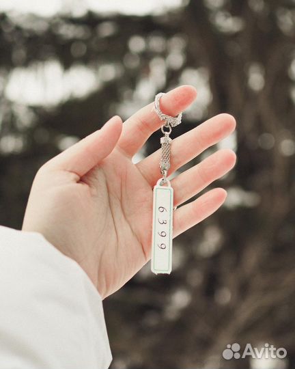 Денежный брелок