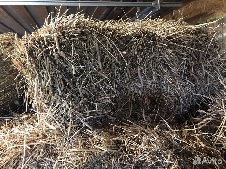 Сено в тюках