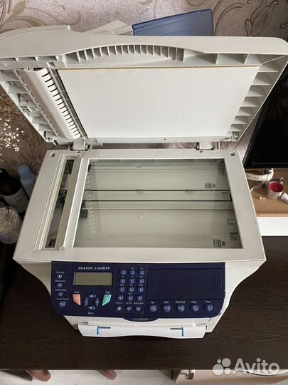 Принтер Xerox phaser 3100