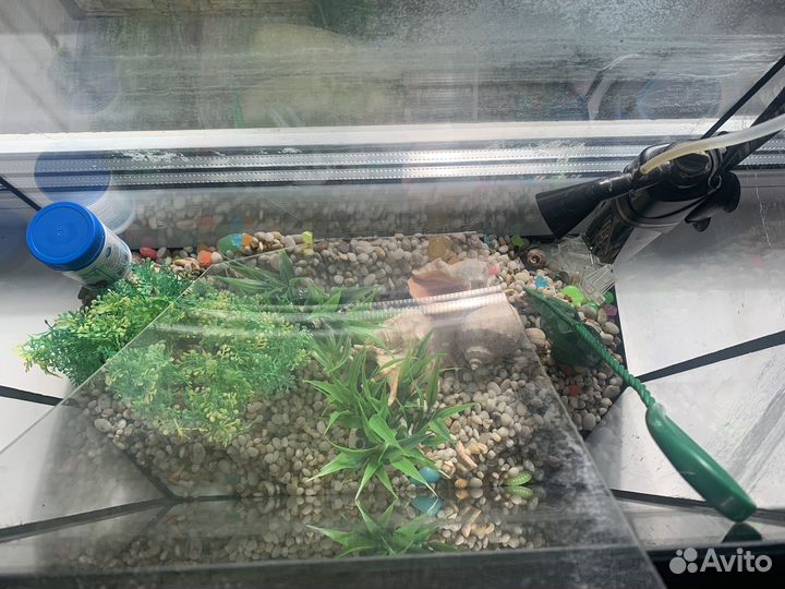 Аквариум