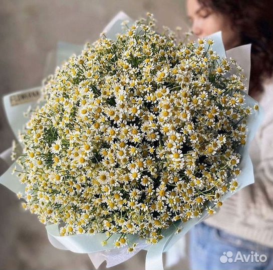 Цветы ромашки. Букеты ромашек. Цветы доставка