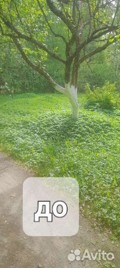 Покос травы и бурьяна