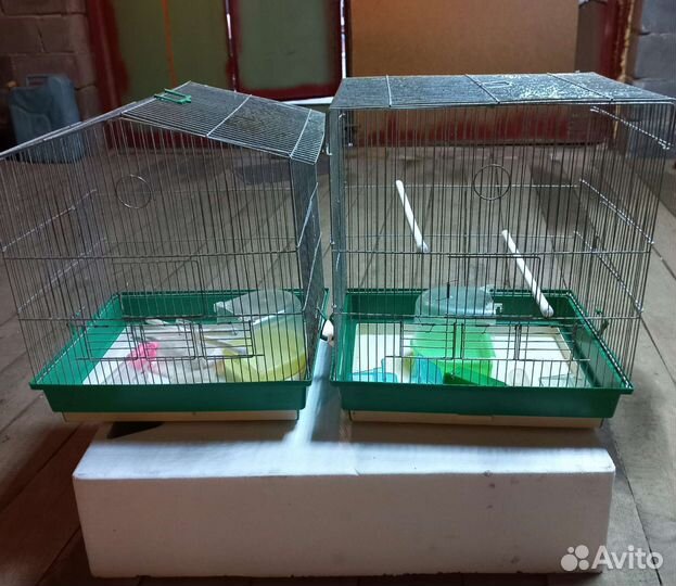Клетки для птиц