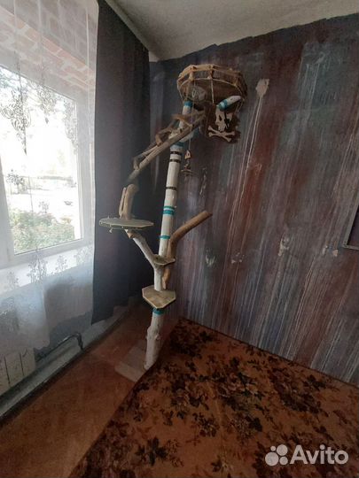 Для животных