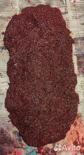 Мотыль кормовой