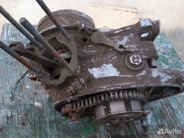 Кпп на муравья